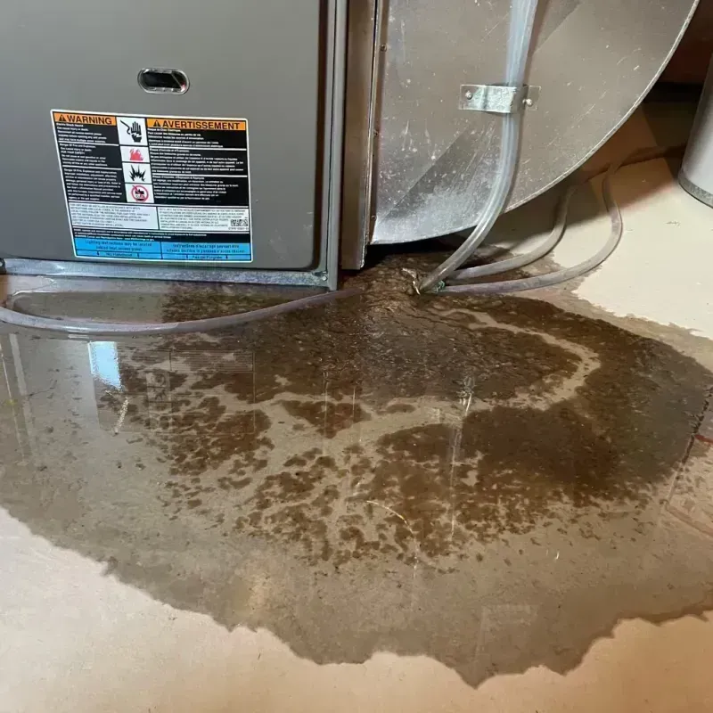 Appliance Leak Cleanup in Lakeport, CA